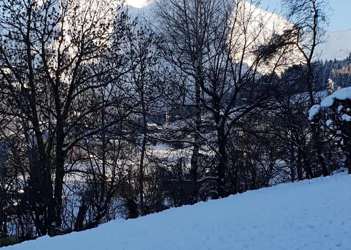 Appart En Rez De Jardin Clos Face Au Mont Blanc