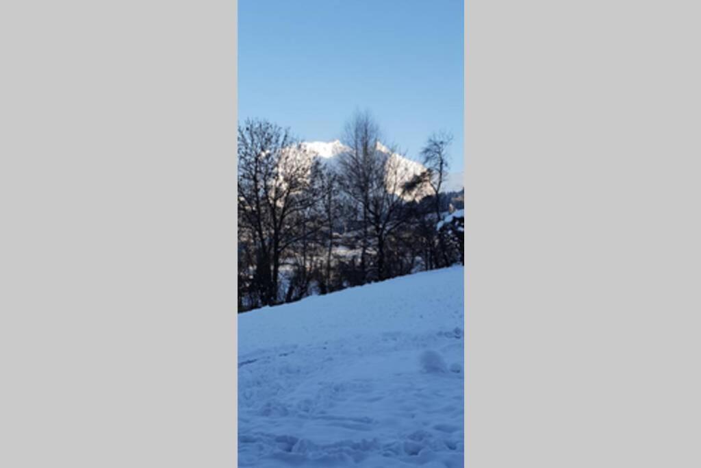 Apartment En Rez De Jardin Clos Face Au Mont Blanc *