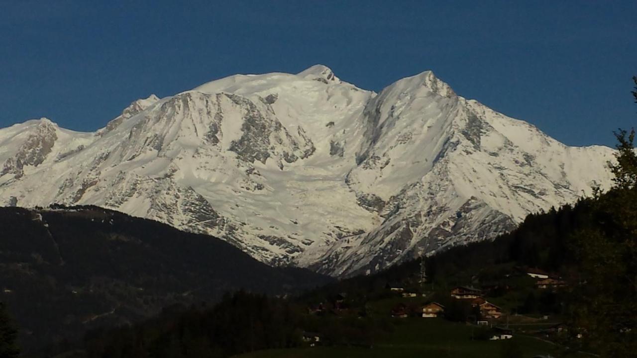 En Rez De Jardin Clos Face Au Mont Blanc Apartment *
