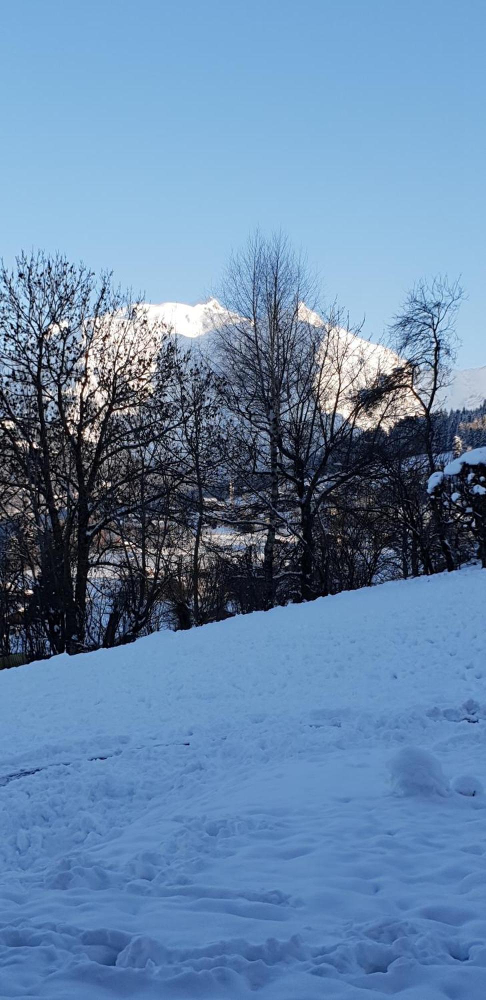 Apartment En Rez De Jardin Clos Face Au Mont Blanc